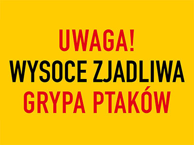 Uwaga! Ognisko wirusa ptasiej grypy