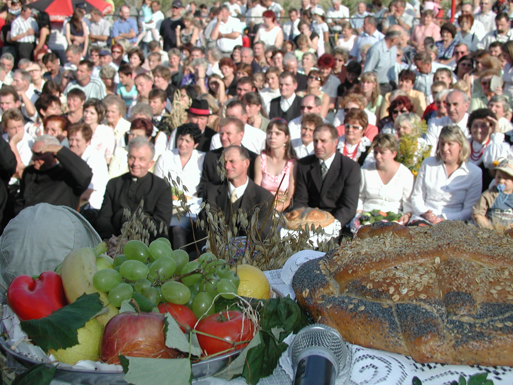 Dożynki Gminno - Parafialne Borysławice 2005